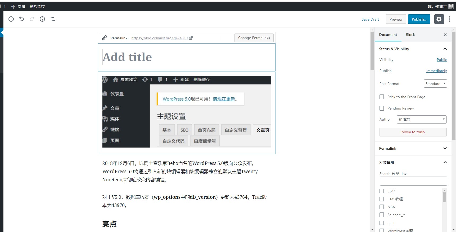 WordPress升级为5.0插图3