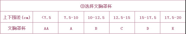 【技术篇】关于女性文胸尺码的深入探讨及相关知识整合插图1