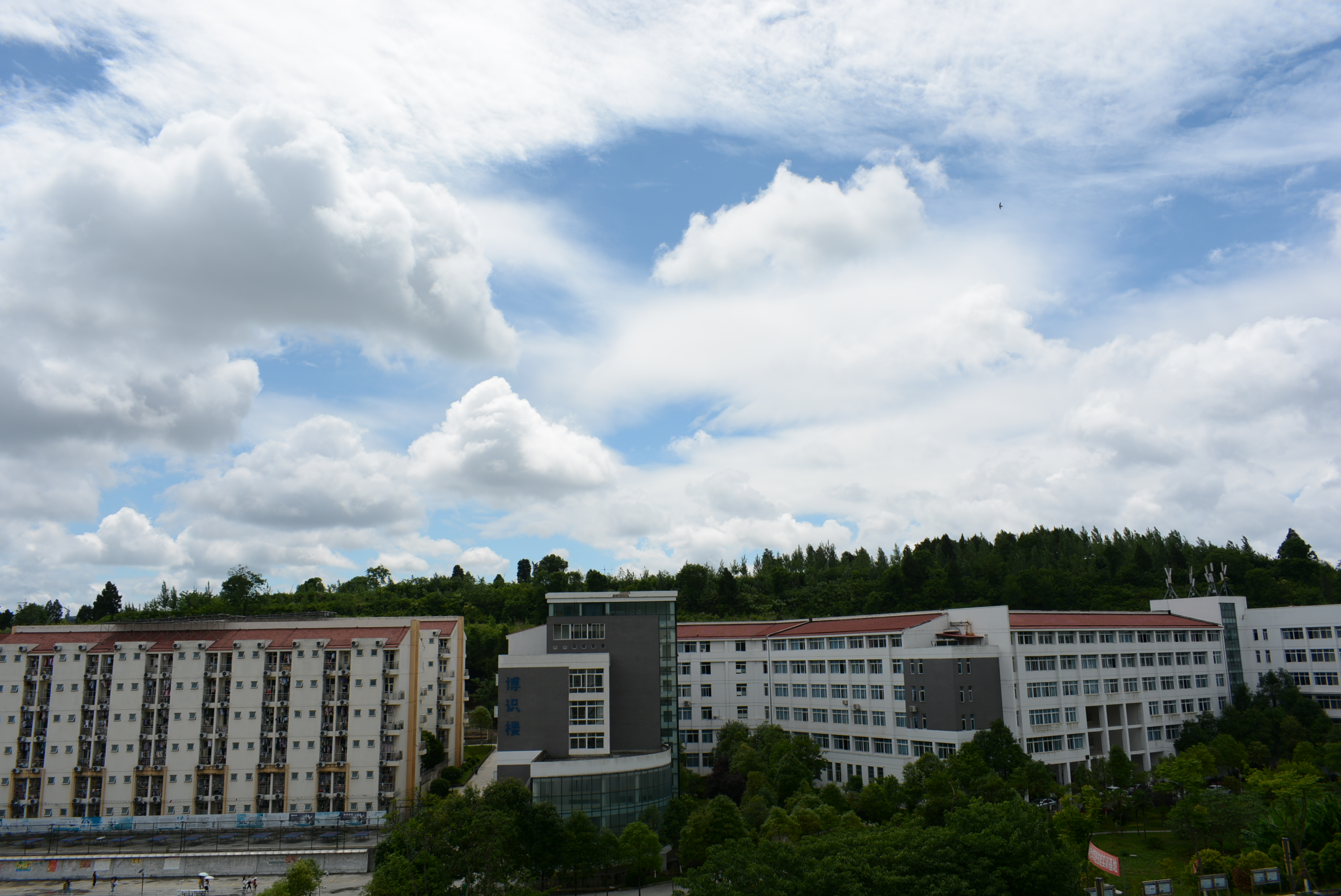 西南科技大学城市学院延时摄影 | 你走过校园中的每一条路，都藏在这里插图1