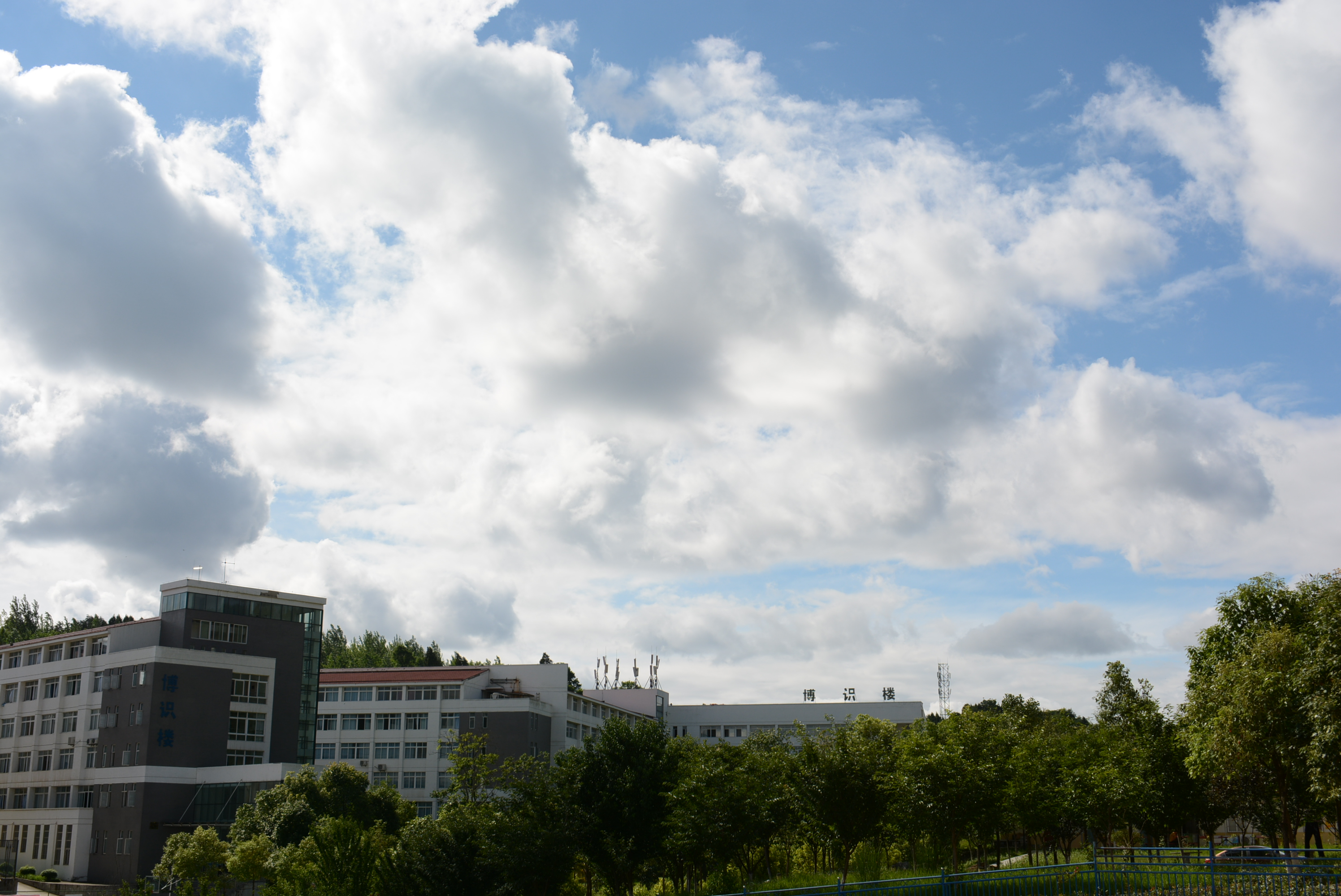 西南科技大学城市学院延时摄影 | 你走过校园中的每一条路，都藏在这里插图5