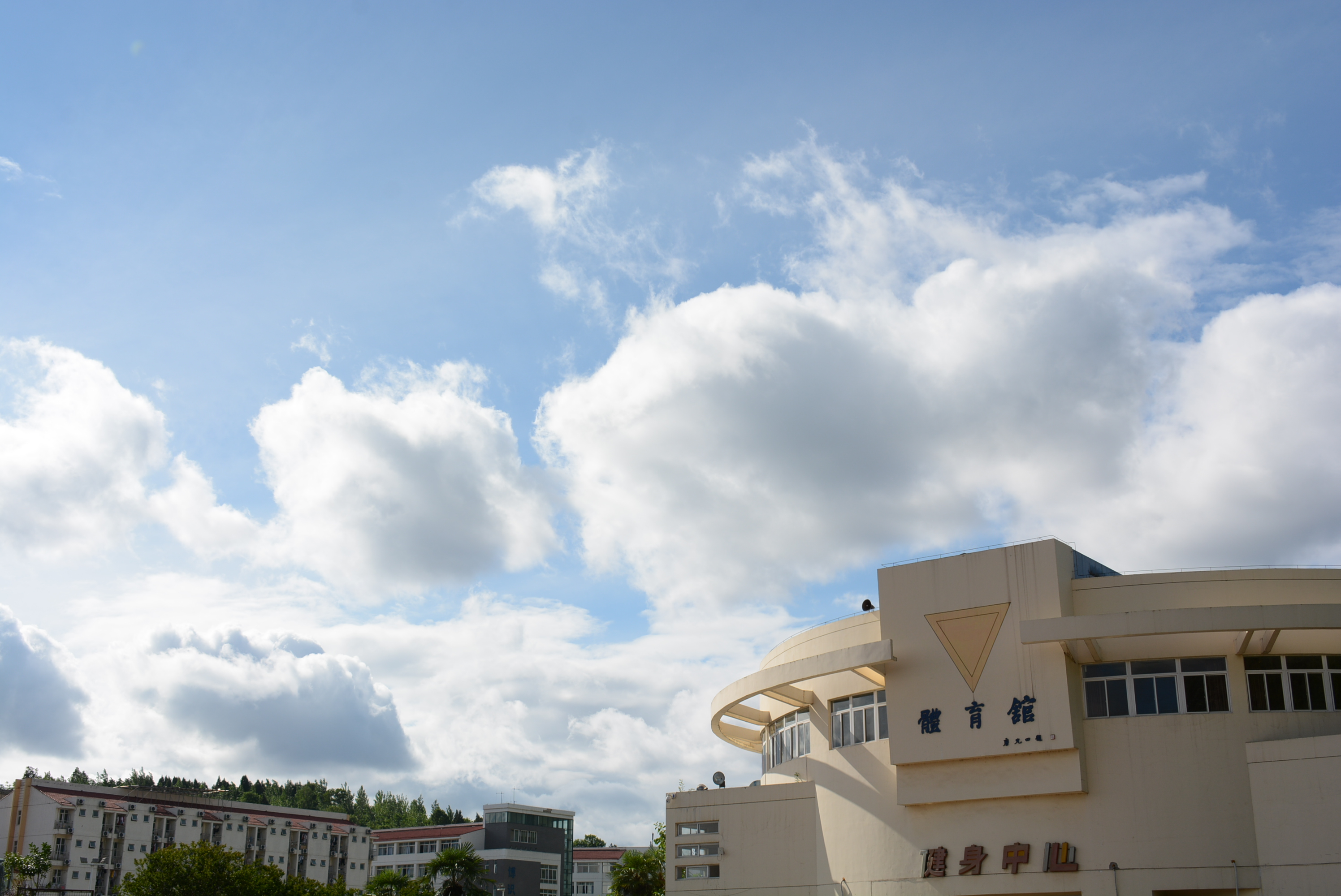 西南科技大学城市学院延时摄影 | 你走过校园中的每一条路，都藏在这里插图7