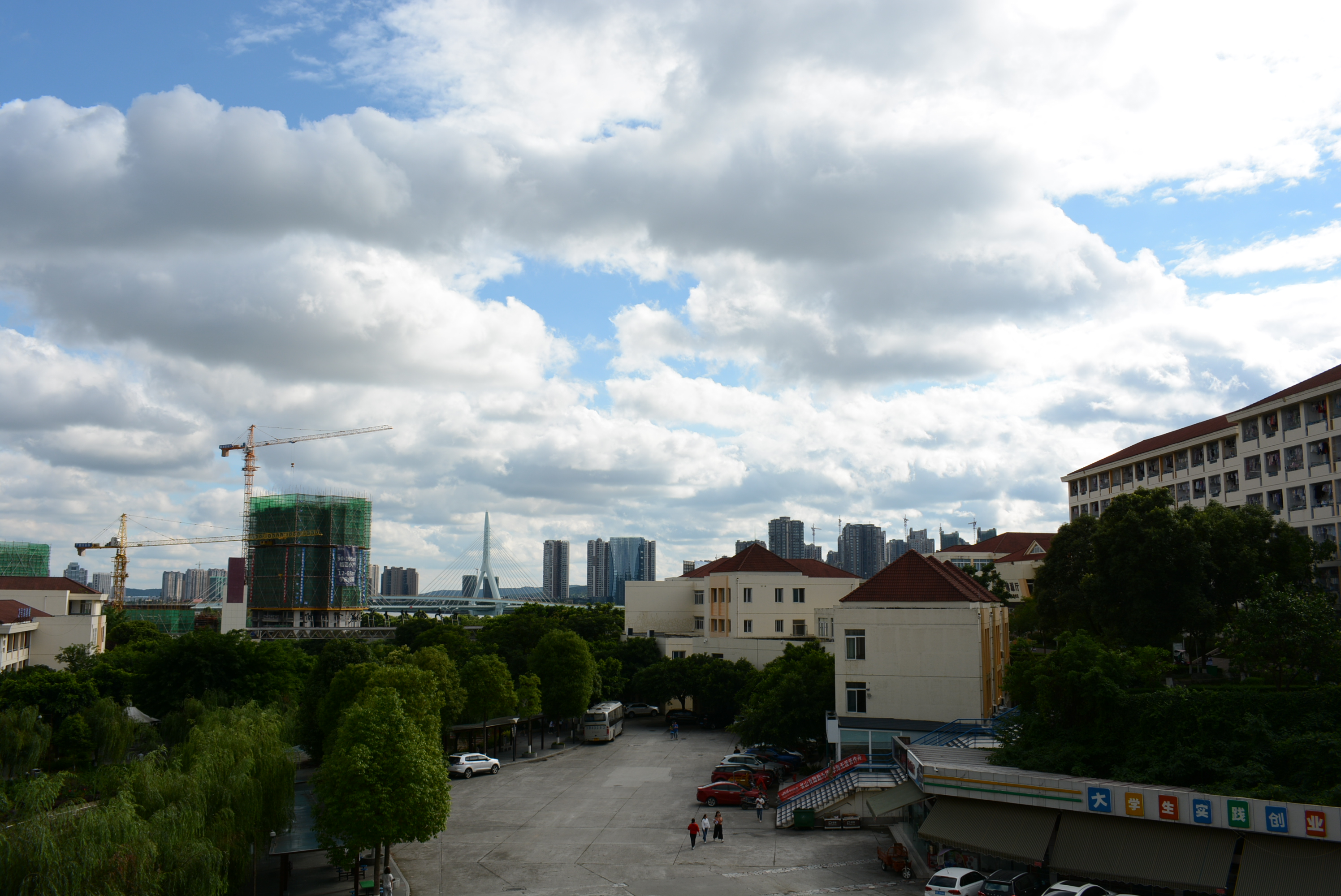 西南科技大学城市学院延时摄影 | 你走过校园中的每一条路，都藏在这里插图8