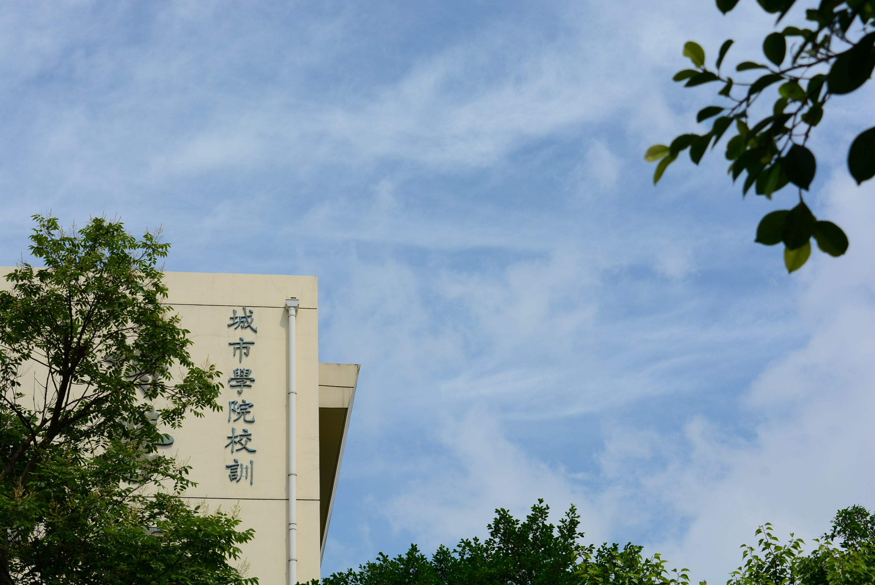 西南科技大学城市学院延时摄影 | 你走过校园中的每一条路，都藏在这里插图10