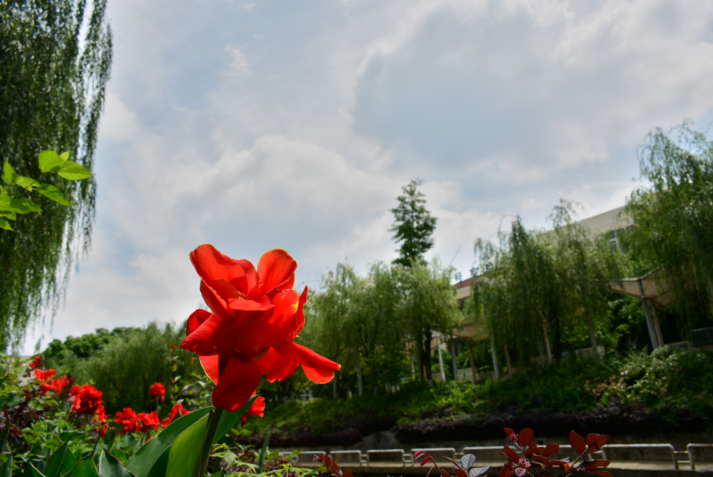 西南科技大学城市学院延时摄影 | 你走过校园中的每一条路，都藏在这里插图11