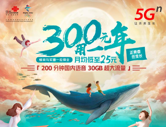 2020北京联通校园卡300元一年，每月200分钟语音+30G流量-夏末浅笑