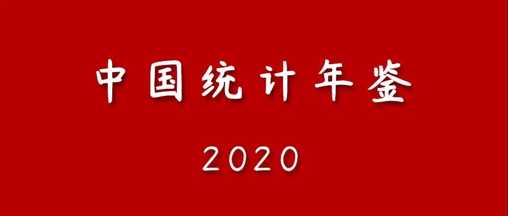 中国统计年鉴2020-夏末浅笑